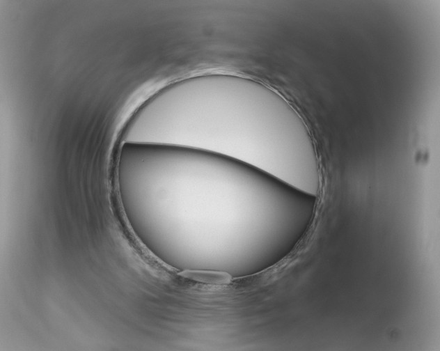 X0000113100104200908281002