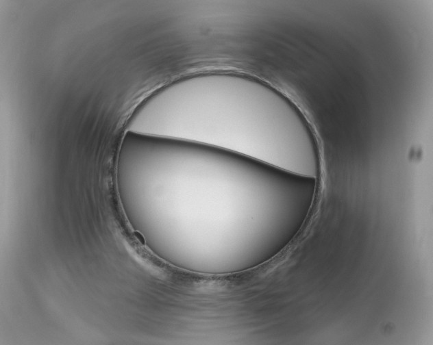 X0000113100105200908281002