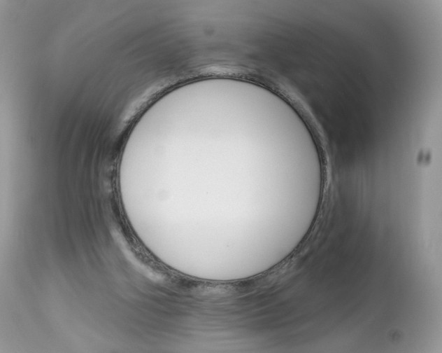 X0000113100106200908281002