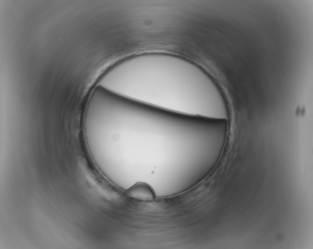 X0000113100107200908281002