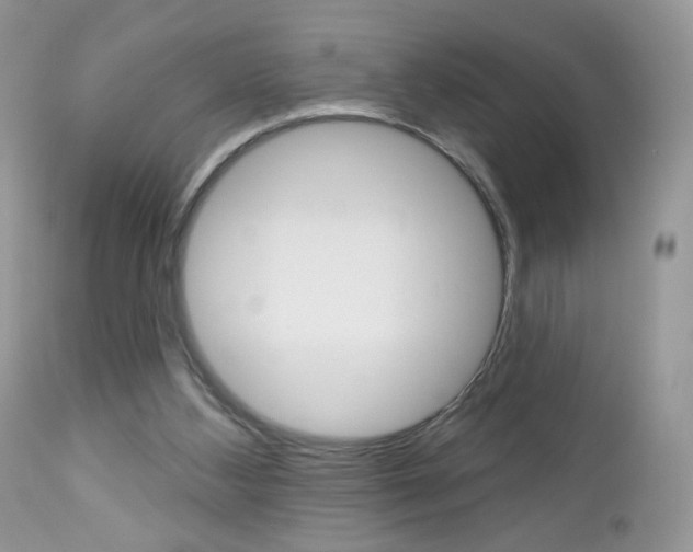 X0000113100108200908281002