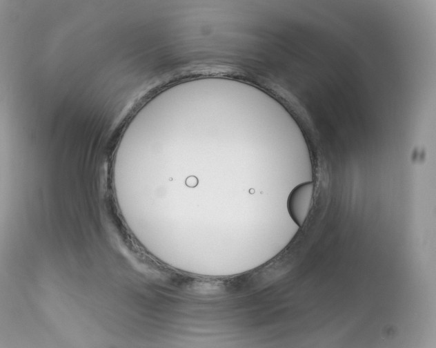 X0000113100110200908281002