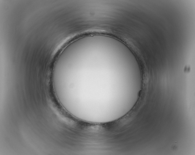 X0000113100112200908281002
