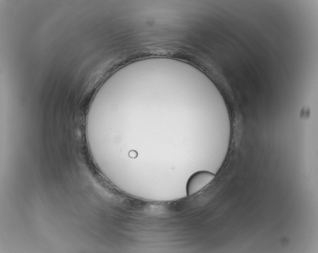X0000113100114200908281001