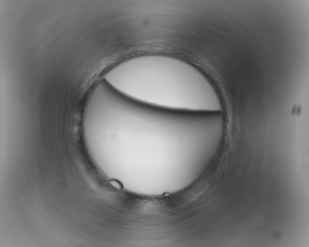 X0000113100115200908281001