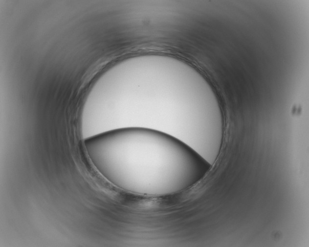 X0000113100116200908281001