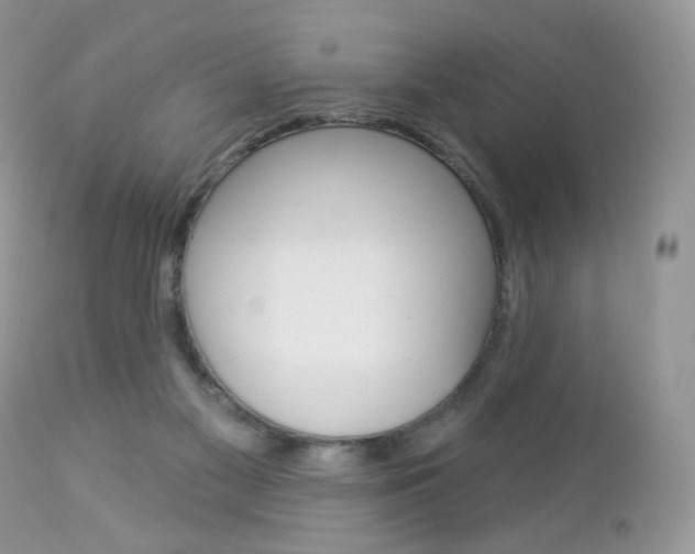 X0000113100117200908281001
