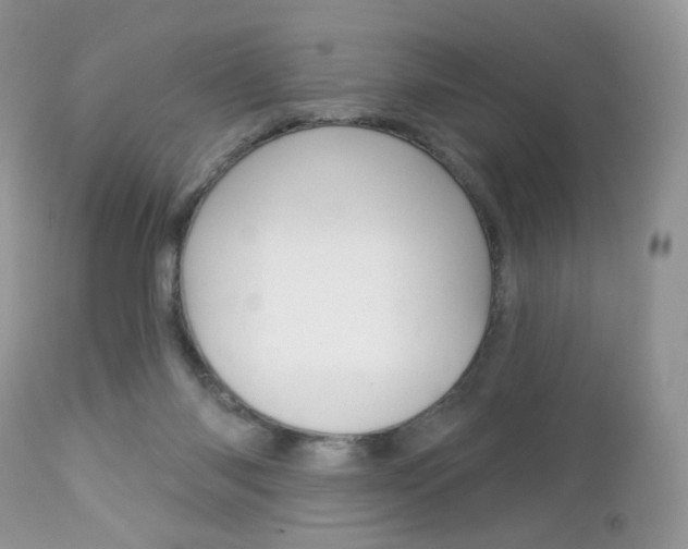 X0000113100118200908281001