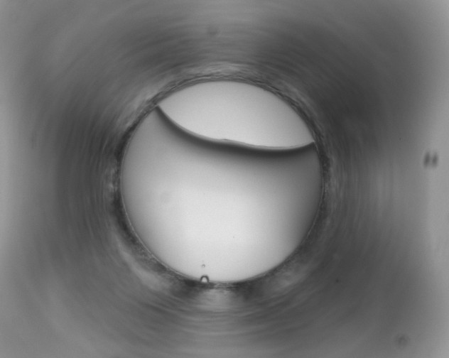 X0000113100119200908281001