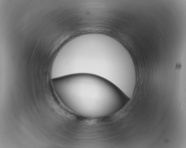 X0000113100120200908281001