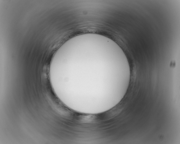 X0000113100122200908281001