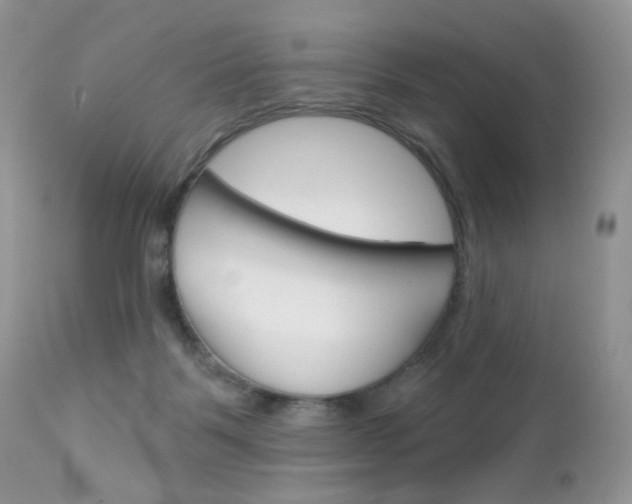 X0000113100123200908281001