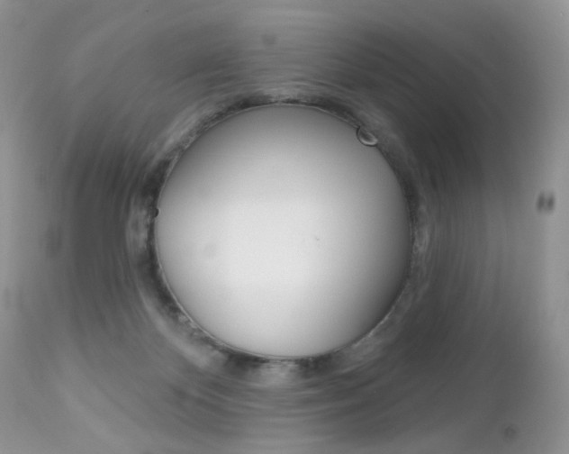X0000113100124200908281001