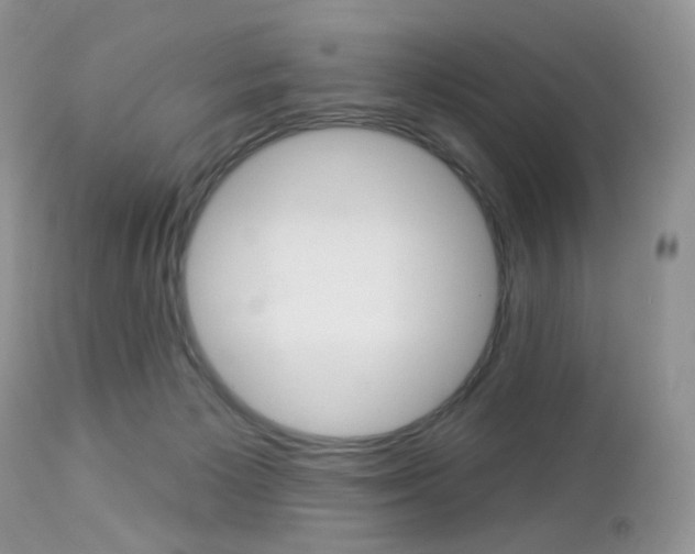 X0000113100125200908281001