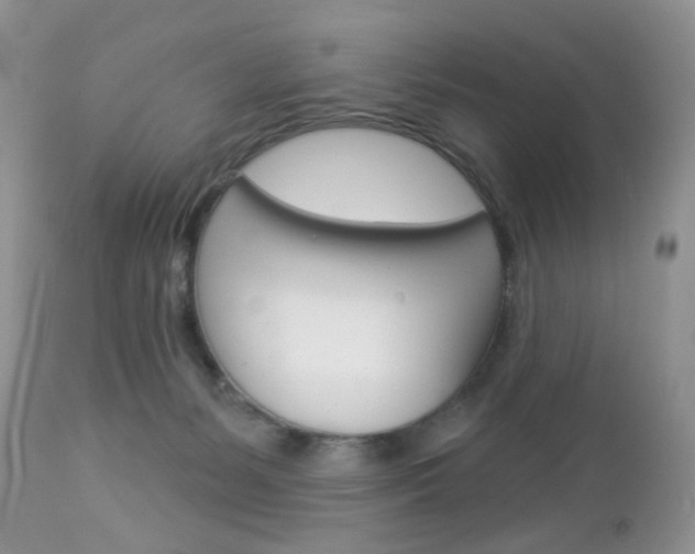 X0000113100127200908281001