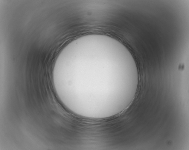 X0000113100128200908281001