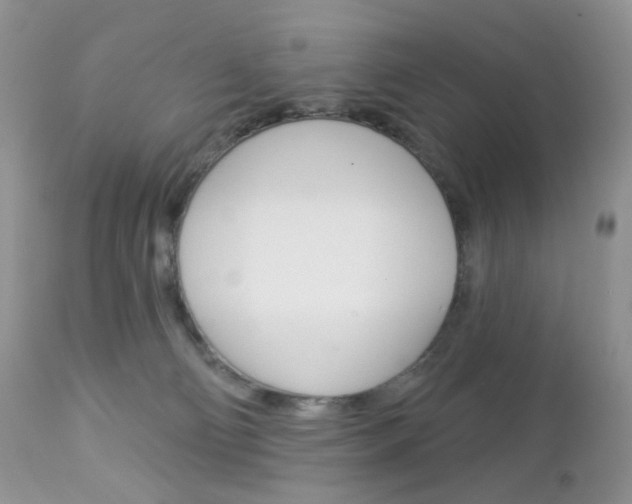 X0000113100130200908281001