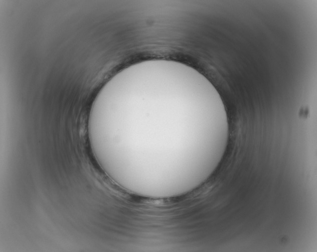 X0000113100131200908281001