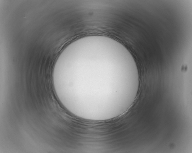 X0000113100132200908281001