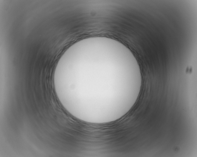 X0000113100133200908281001