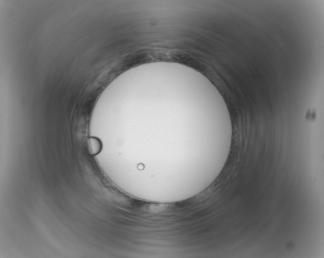 X0000113100134200908281001