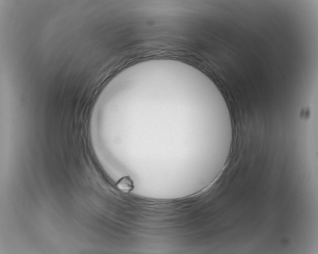 X0000113100136200908281001