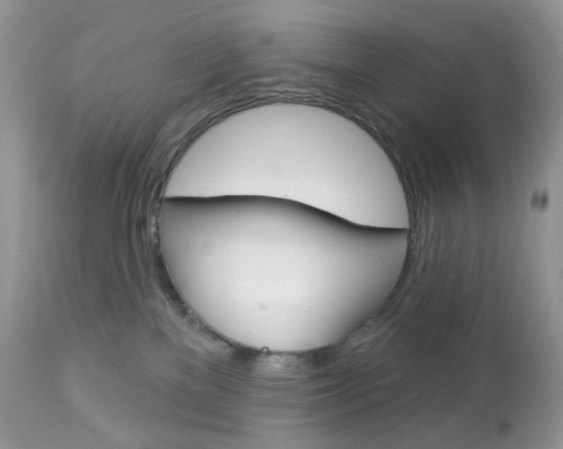 X0000113100137200908281001