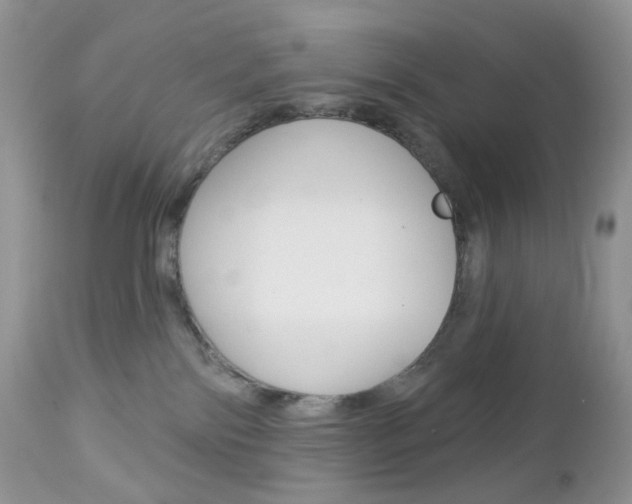 X0000113100138200908281001