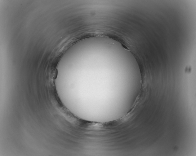 X0000113100140200908281001