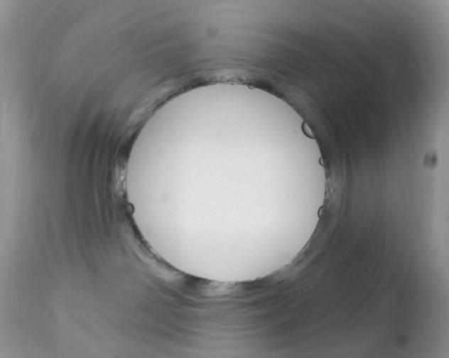 X0000113100142200908281001
