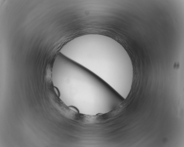 X0000113100143200908281001