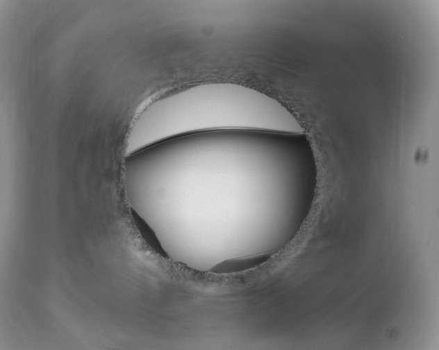 X0000113100144200908281001