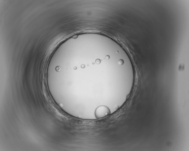 X0000113100145200908281000