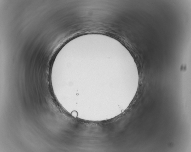 X0000113100146200908281000