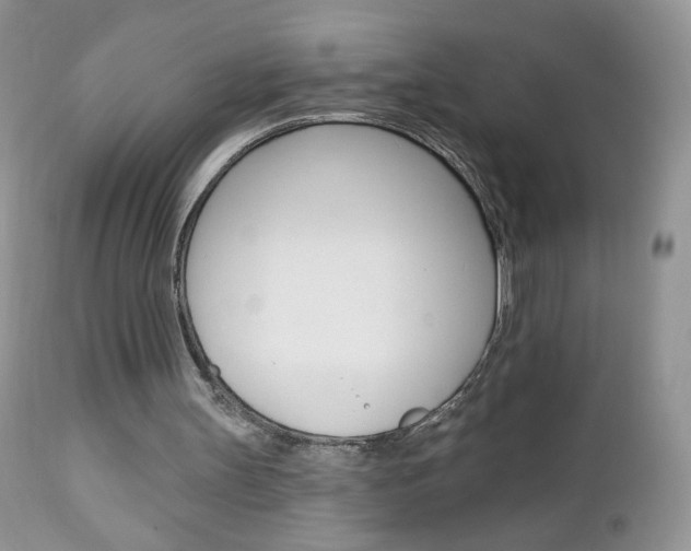 X0000113100147200908281000