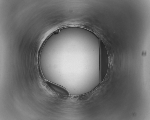 X0000113100148200908281000