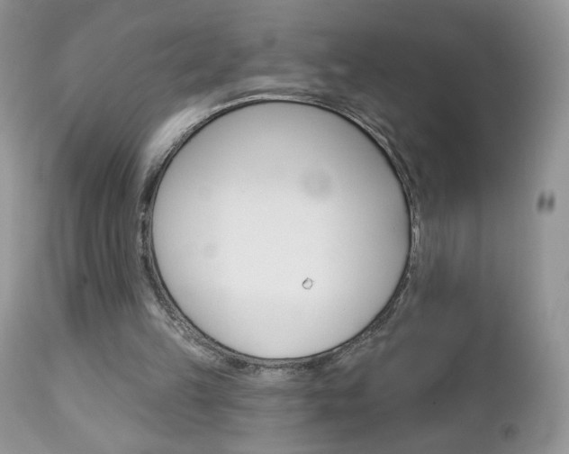 X0000113100149200908281000