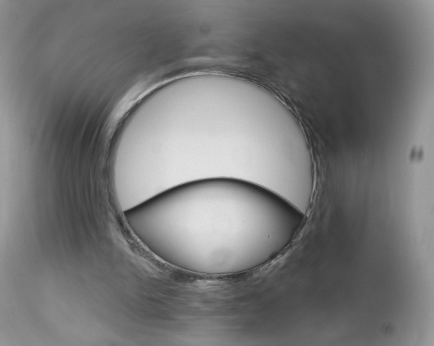 X0000113100150200908281000