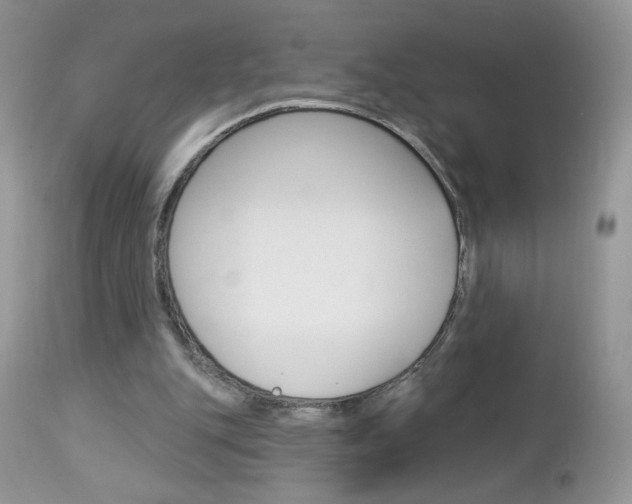 X0000113100151200908281000
