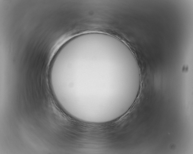 X0000113100152200908281000