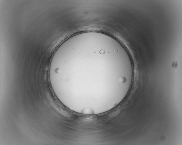 X0000113100153200908281000