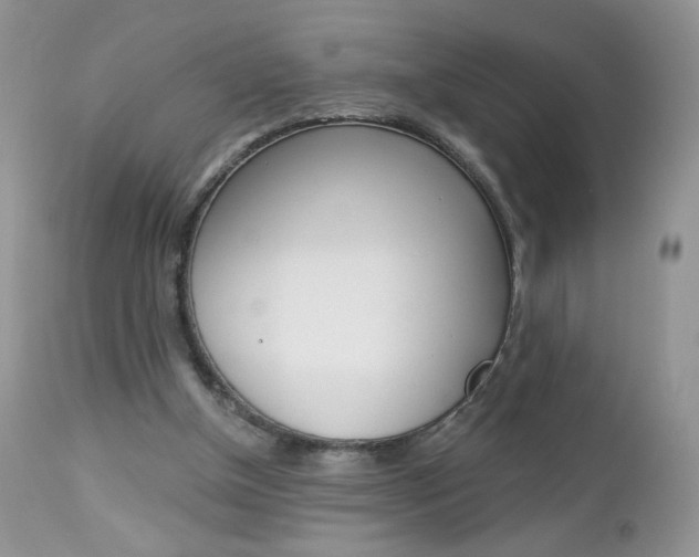 X0000113100154200908281000
