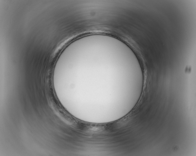 X0000113100155200908281000