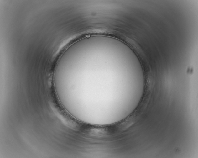 X0000113100160200908281000