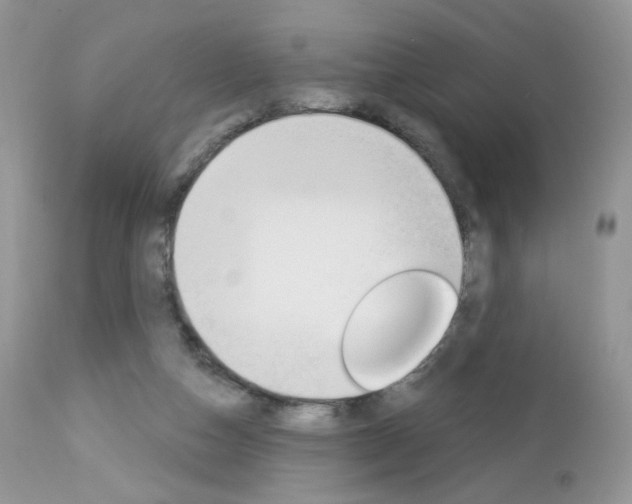 X0000113100162200908281000