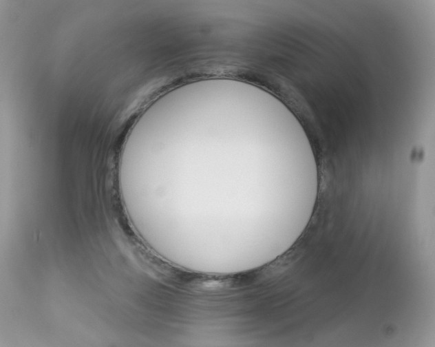 X0000113100163200908281000
