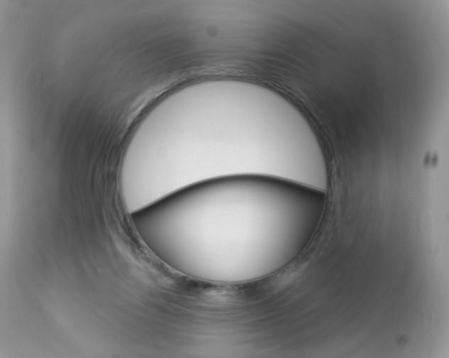 X0000113100164200908281000