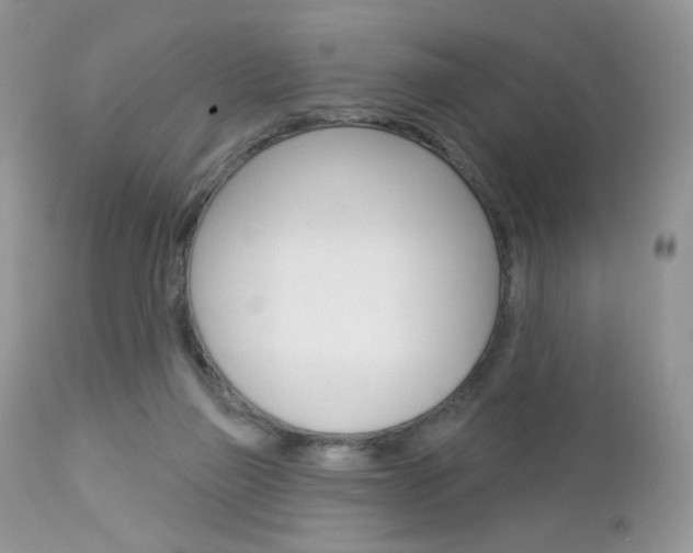 X0000113100165200908281001
