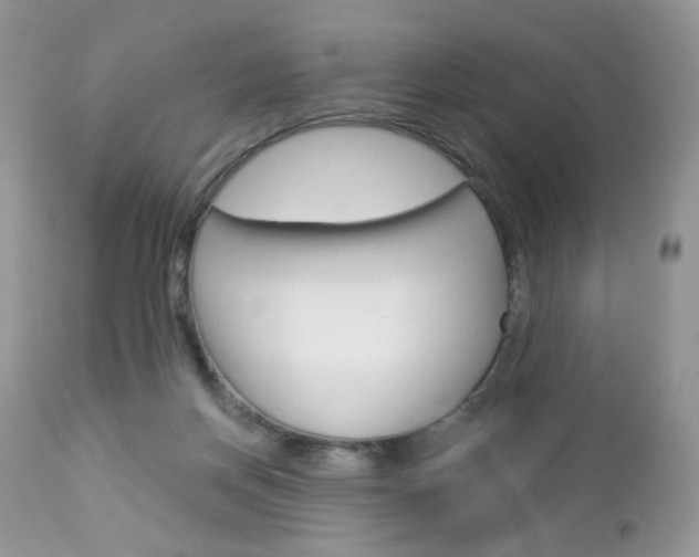 X0000113100166200908281001