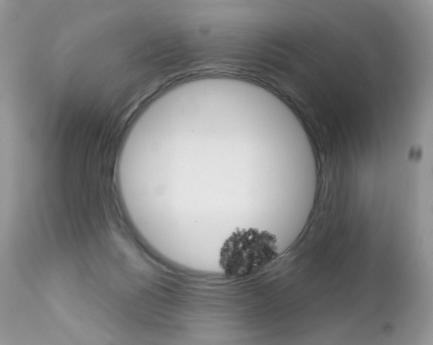 X0000113100168200908281001